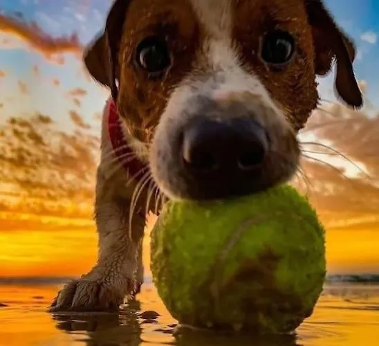 En Planta Baja Directo A La Calle